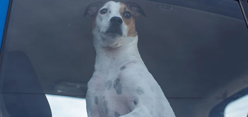 Car Lockout Solutions in Kingsburg, California